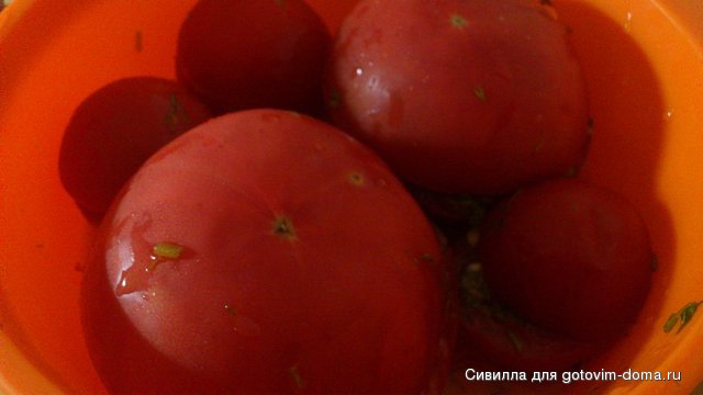помидоры закусочные.jpg
