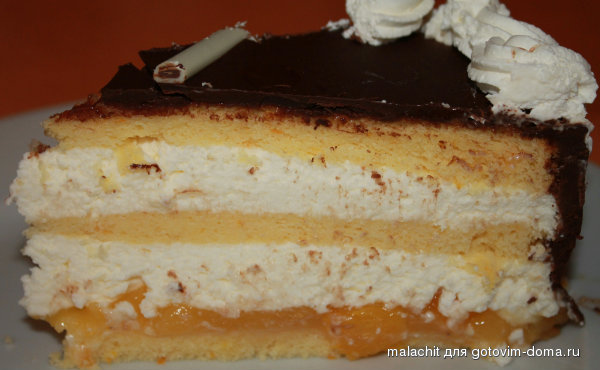 razrez apelsinovogo torta.jpg