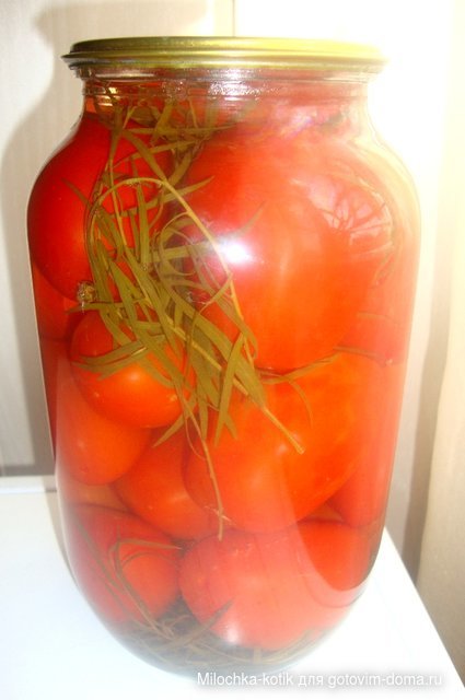 помидоры с ботвой.JPG