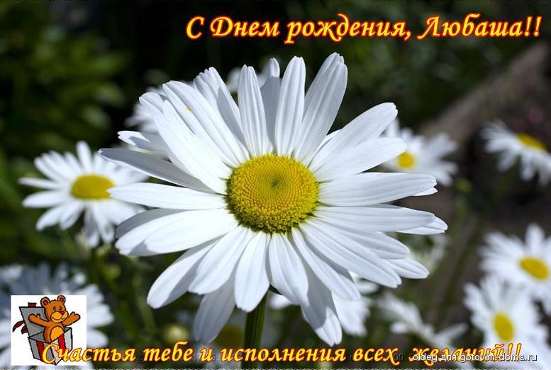 Поздравления и Пожелания (Евгений Мерс) / Стихи. ру Поздравления в прозе с днем рождения. Тексты
