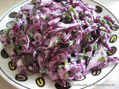 Салат из синей капусты рецепты