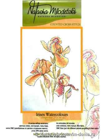 Irises Watercorours.jpg
