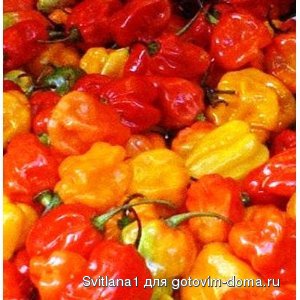 scotch bonnet.jpg