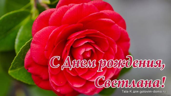 Поздравления с днем рождения светлане михайловне Поздравления с днем рождения светлане михайловне