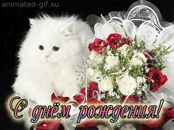 Открытки с днём рождения девушке gif 16