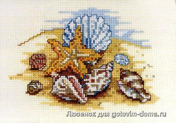 Bucilla Seashells.JPG