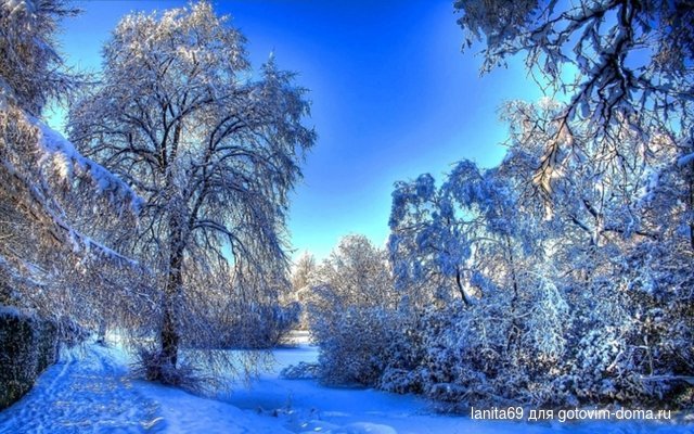 rabstol_net_winter_37.jpg