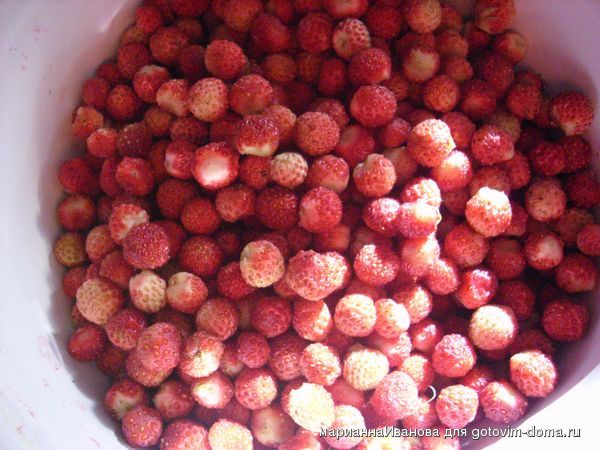 варенье из лесной клубники рецепт варенье из лесной клубники рецепт