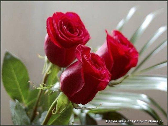   :: * ::  ::  ::  Foto.ru