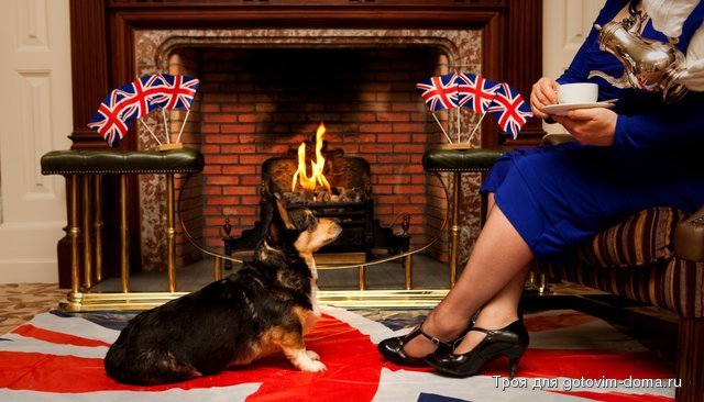 corgi-queen-fire-jubilee-1024x586.jpg