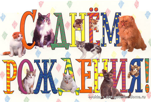Открытки с днем рождения с кошек