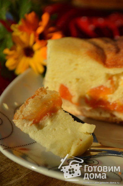 Сырник с абрикосами фото к рецепту 2
