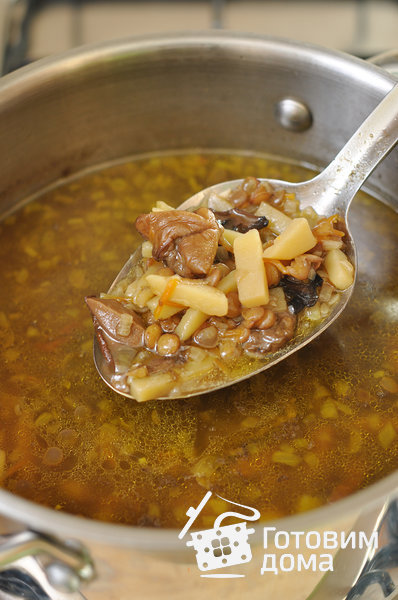 Суп из чечевицы с сушеными грибами фото к рецепту 11