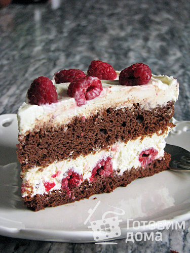 Шоколадно-творожный торт с малиной фото к рецепту 1