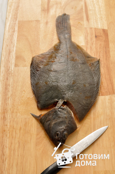 Камбала (разделка плоской рыбы на филе) фото к рецепту 1