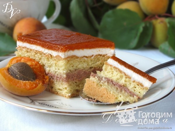 Пирожные с абрикосами и йогуртом фото к рецепту 10