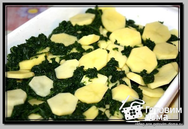 Картофельная запеканка со шпинатом фото к рецепту 1