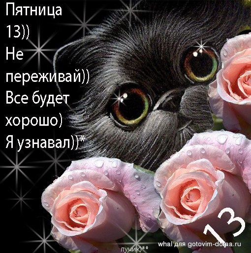 x_fcc64109.jpg