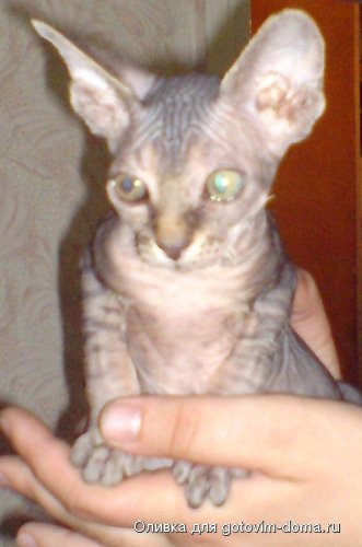 DSC00106.JPG