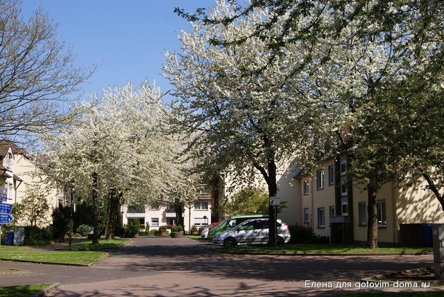 DSC05504.JPG