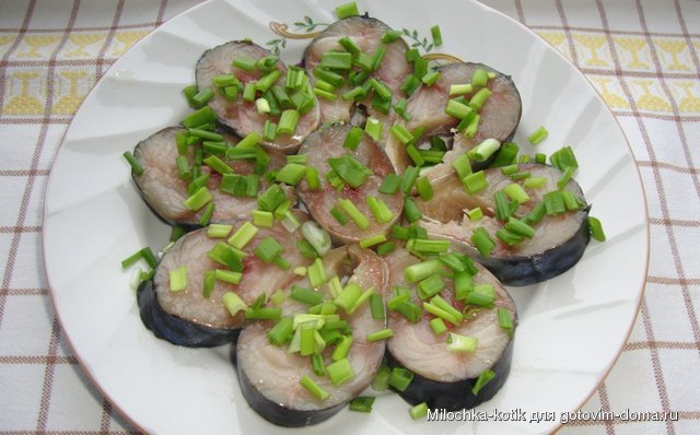 скумбрия.JPG
