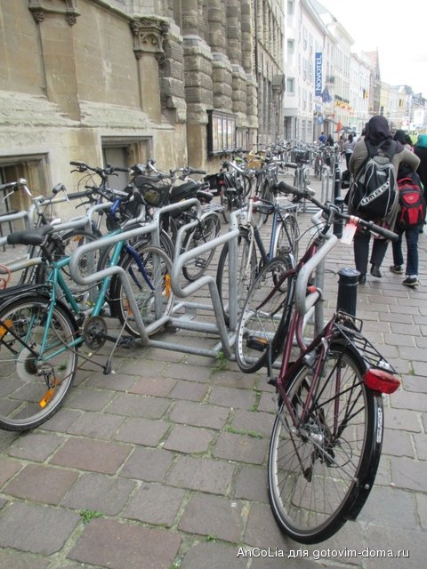 IMG_3387.jpg
