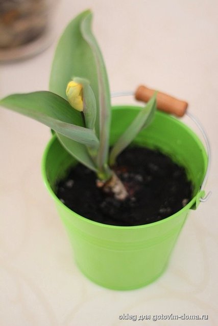 2014_03_10_9999_42.jpg