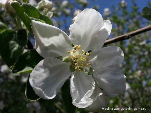20130501_132203.jpg