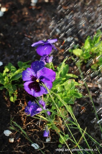 2013_05_15_1284.jpg