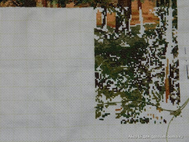 DSCN1350.JPG
