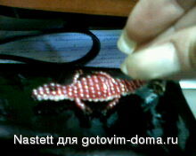 IMG0088A.jpg