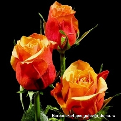 cbr-s.jpg (94.55 Кб) cbr-s.jpg