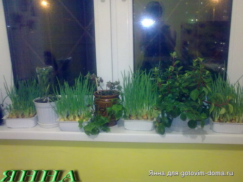 08022010071.jpg