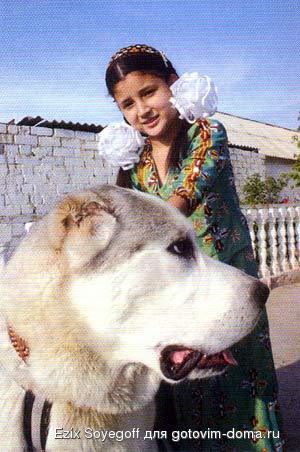 05.jpg