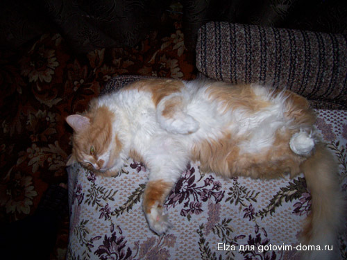 100_02965.jpg