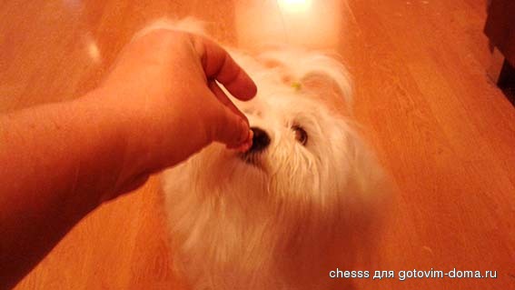 20141113_095059.jpg