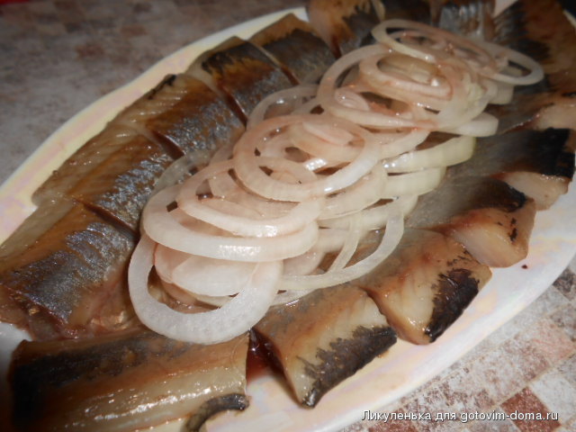 DSCN6197.JPG