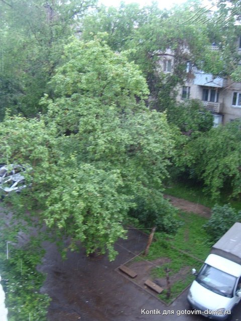 DSC08200.JPG