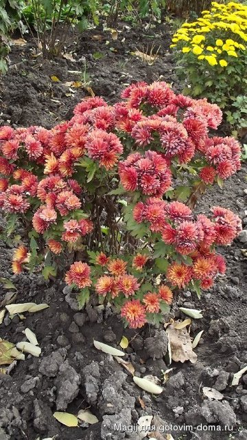 DSCF1574.JPG