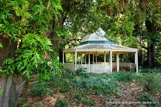 Botanic Garden4.jpg