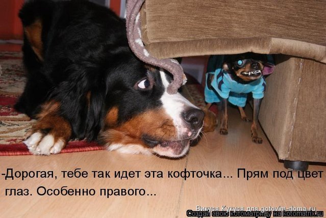 кофточка.jpg