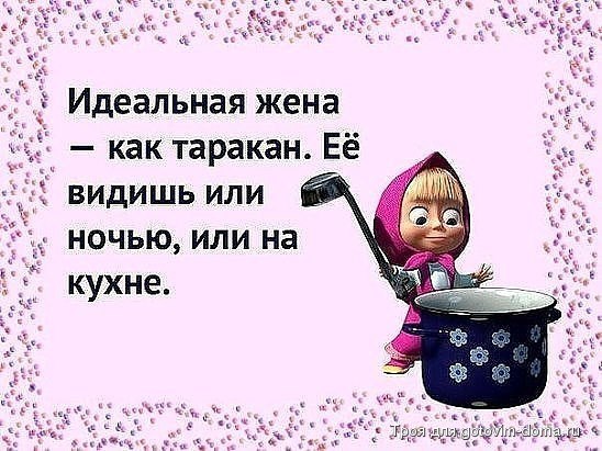 таракан.jpg