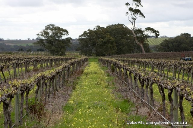 barrosa2.jpg