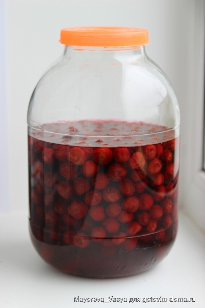 ликер из вишни.jpg