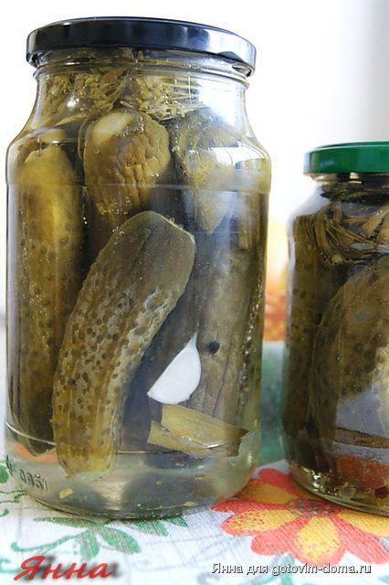 маринованные огурцы.jpg