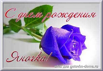 8121192_1381273.jpg