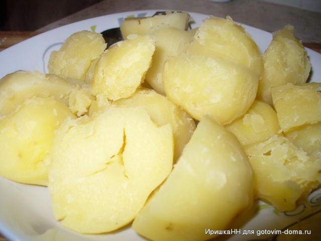 P1070831.JPG