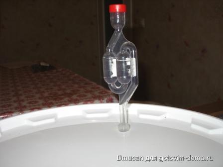 IMG_6268.JPG