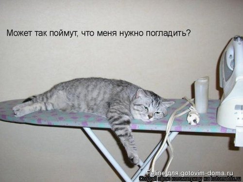 02.jpg