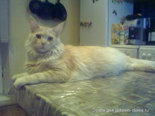 20112009100.jpg